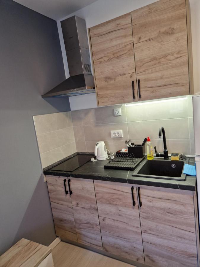 Sofia Apartment Sajmiste Extérieur photo